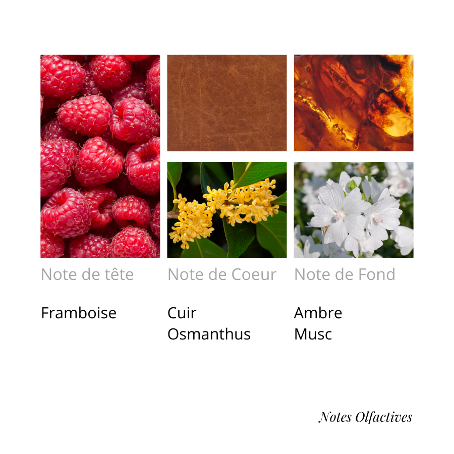 Parfum 1000 FEUX Equival'anse