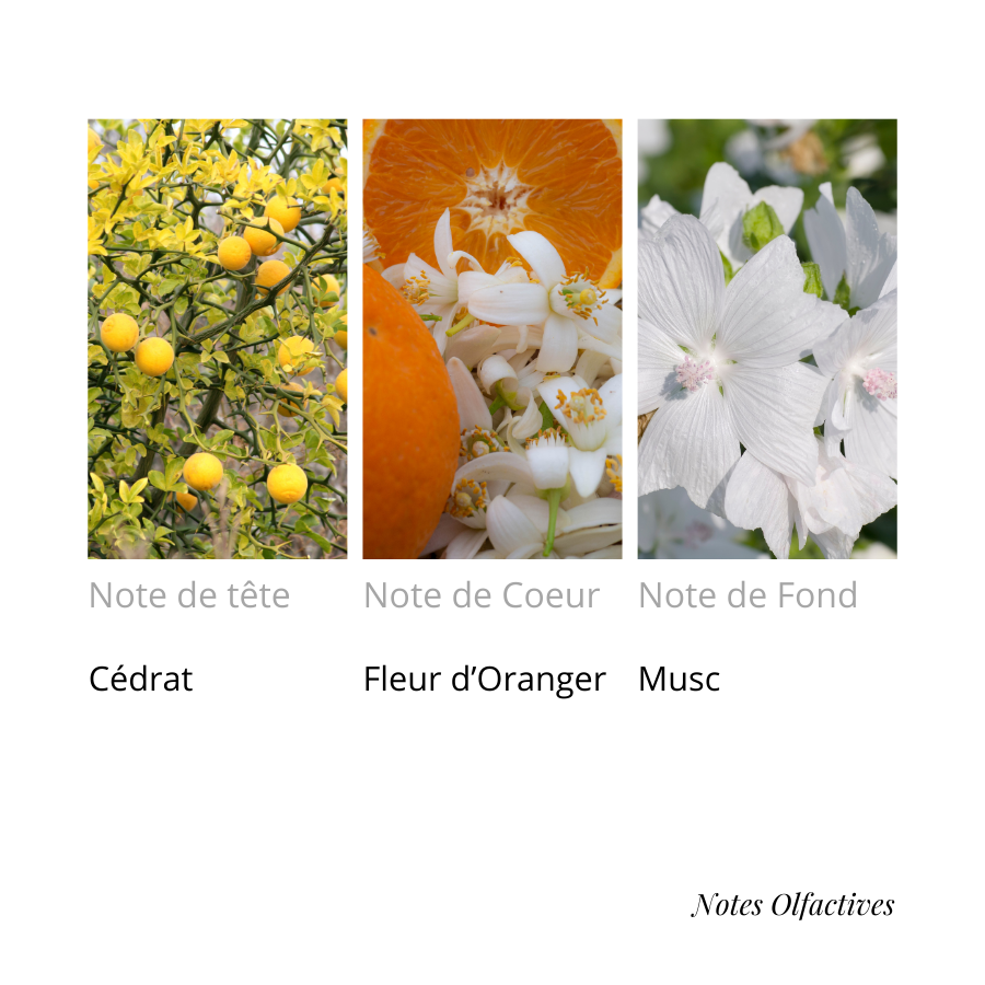 Parfum SUNSONG Equival'anse