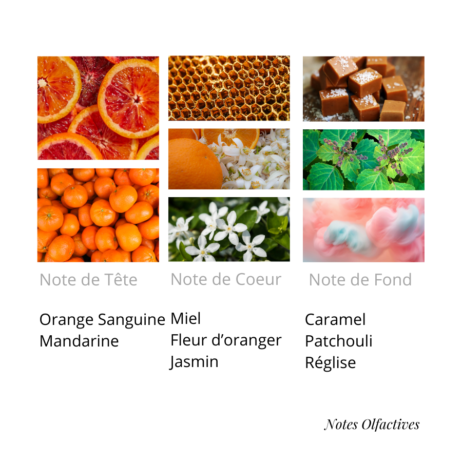 Parfum SKAND F Equival'anse