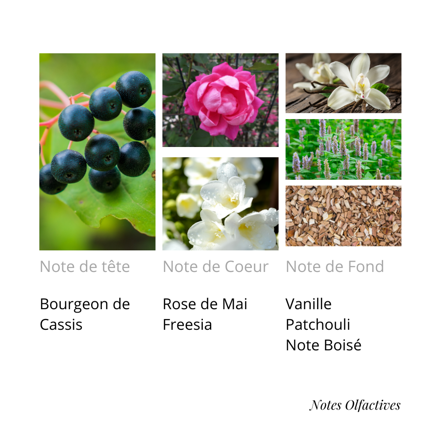 Parfum SYSY Equival'anse