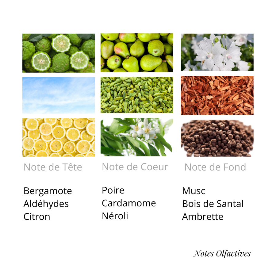 Parfum Par Hasard Equival'anse