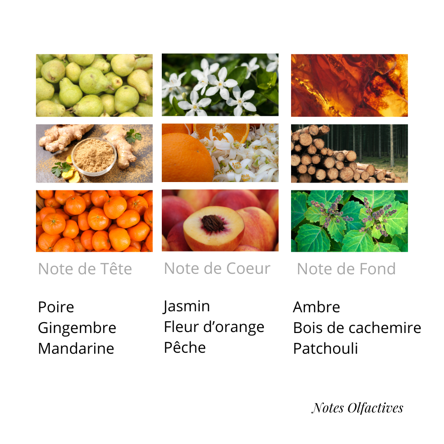 Dupe BDK Pas ce Soir