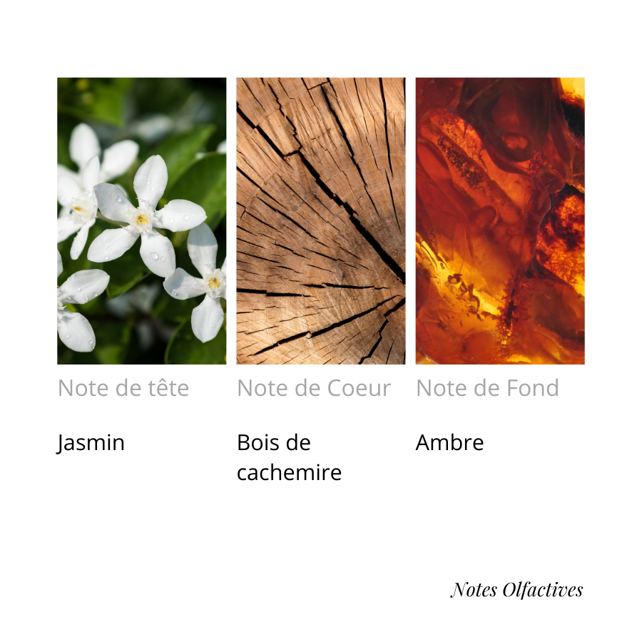 Parfum Alyen Equival'anse