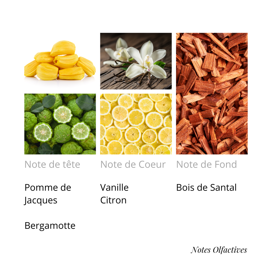 Parfum Bleu Magik Equival'anse