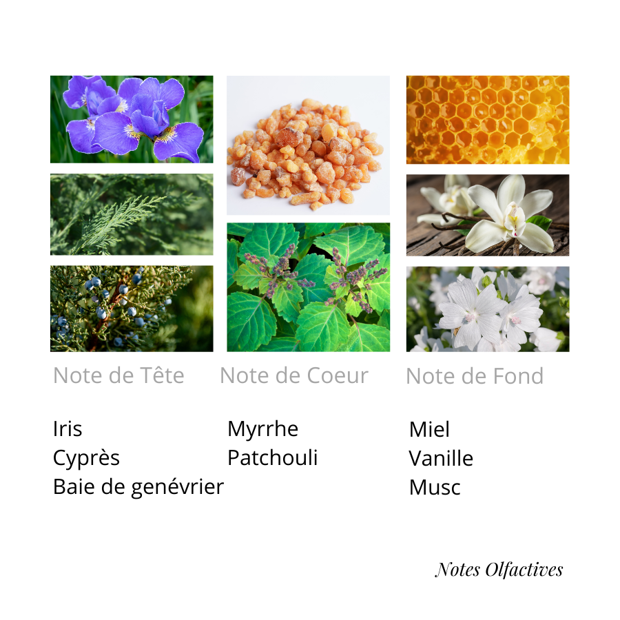 Parfum Bois Précieux Equival'anse