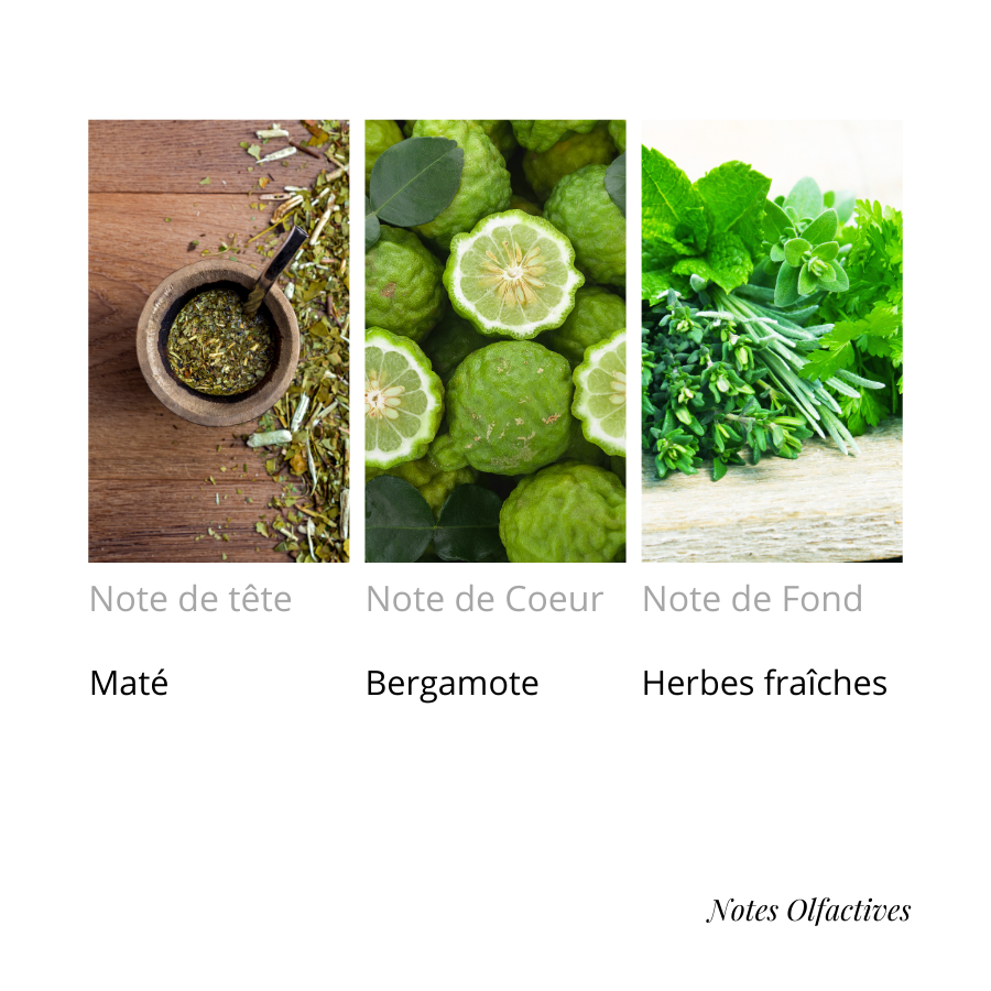 Parfum Cactus Equival'anse