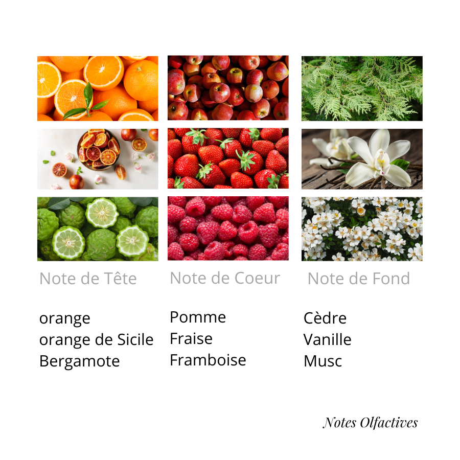 Parfum Erba Equival'anse