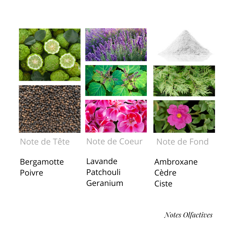 Parfum Féroce Equival'anse