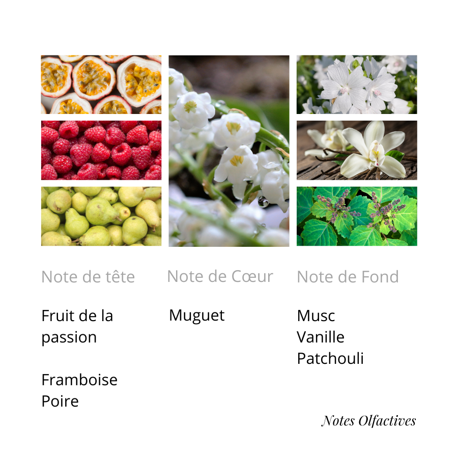 Parfum Kiss Equival'anse