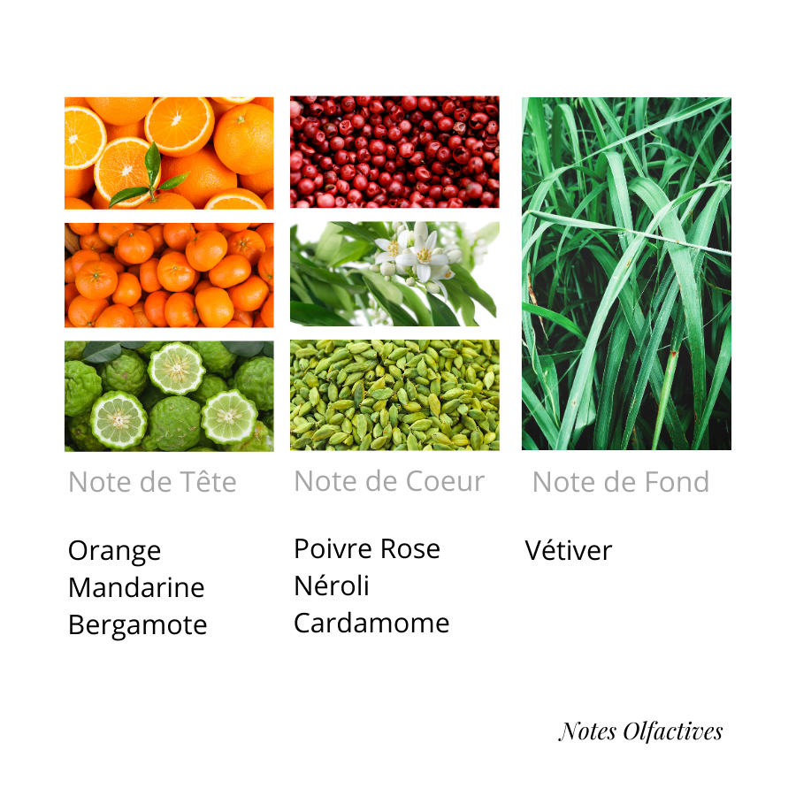 Parfum Météorite Equival'anse