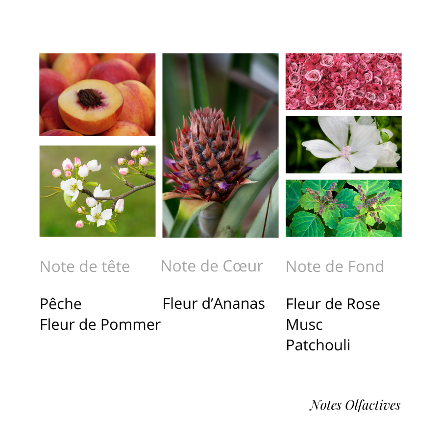 Parfum Madawi Equival'anse