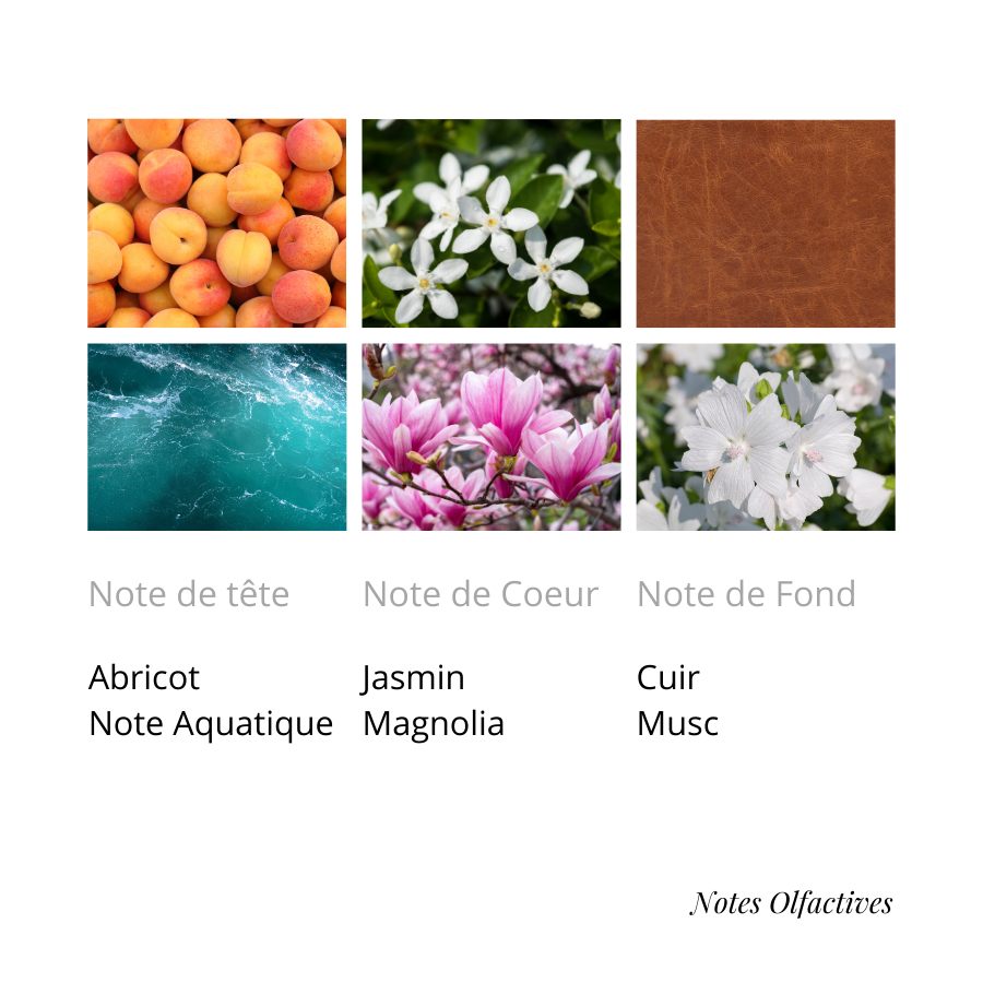 Parfum Rêve Equival'anse