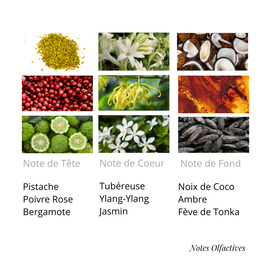 Parfum Soleil Equival'anse