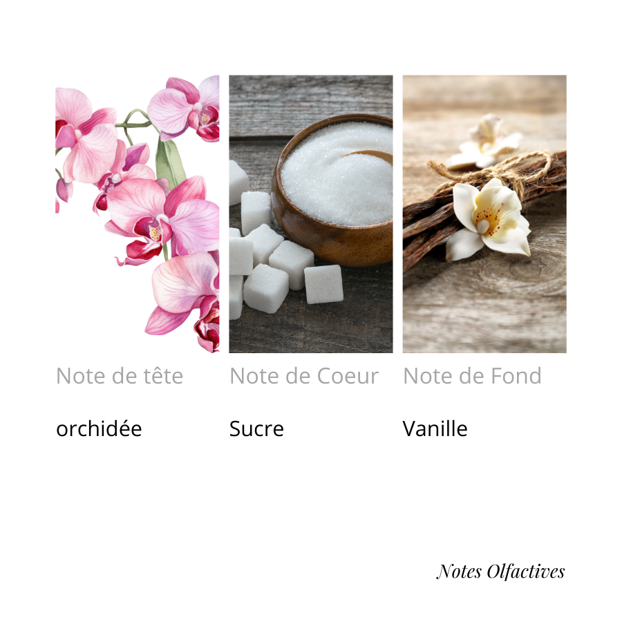 Parfum Sucre Equival'anse