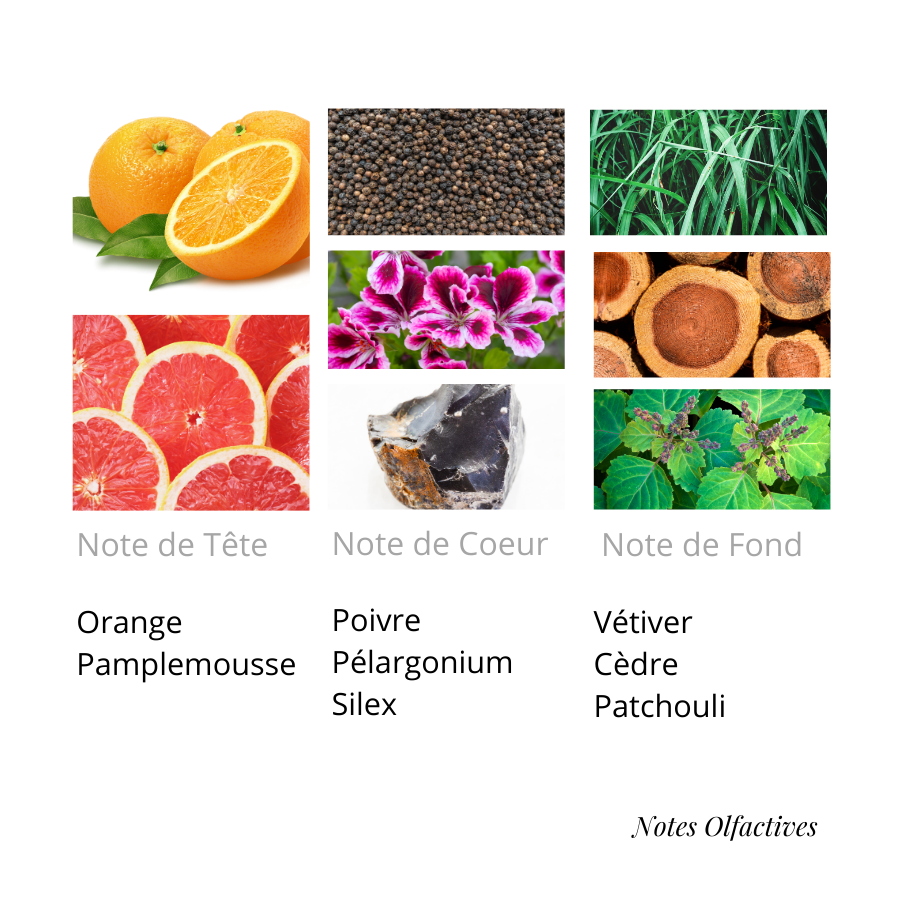 Parfum Terre Equival'anse