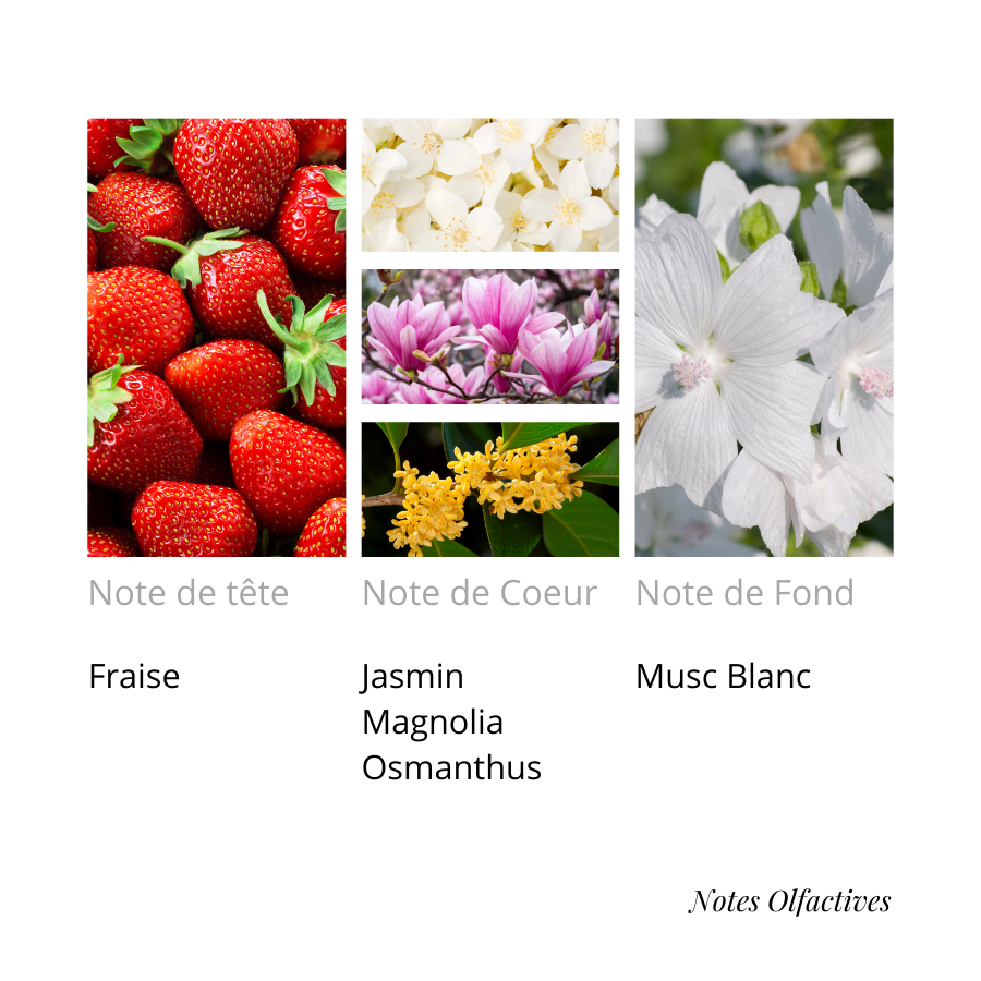 Parfum étoile scintillante Equival'anse