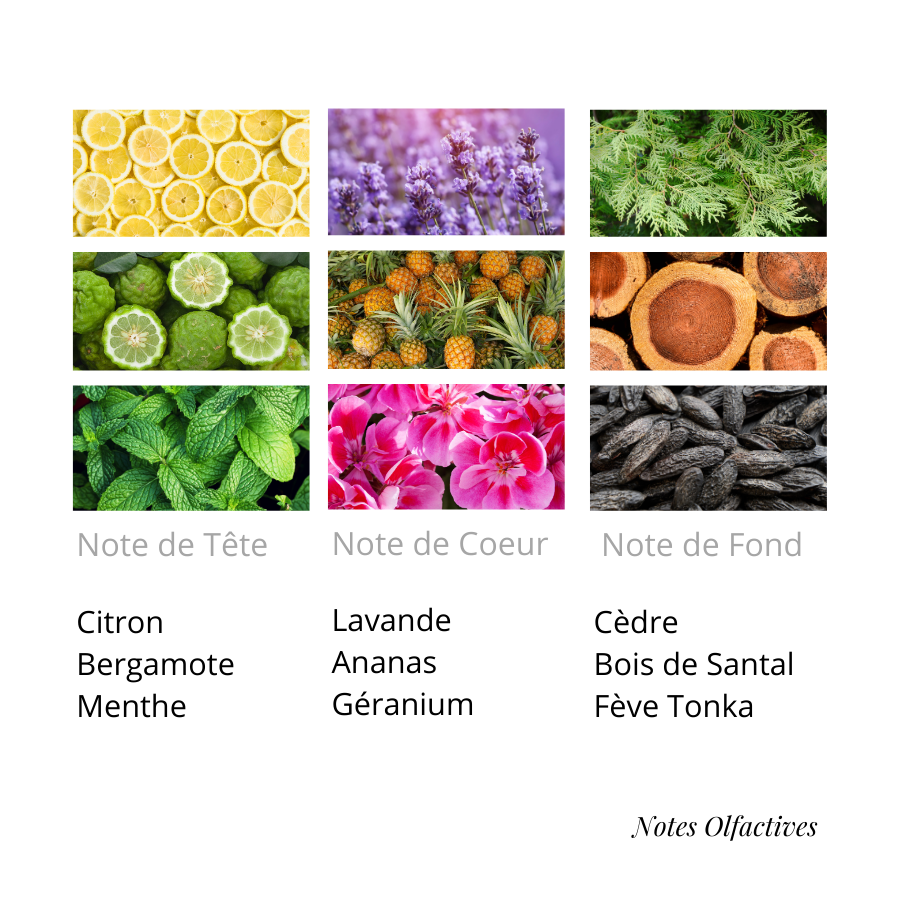 Parfum Bleu Equival'anse