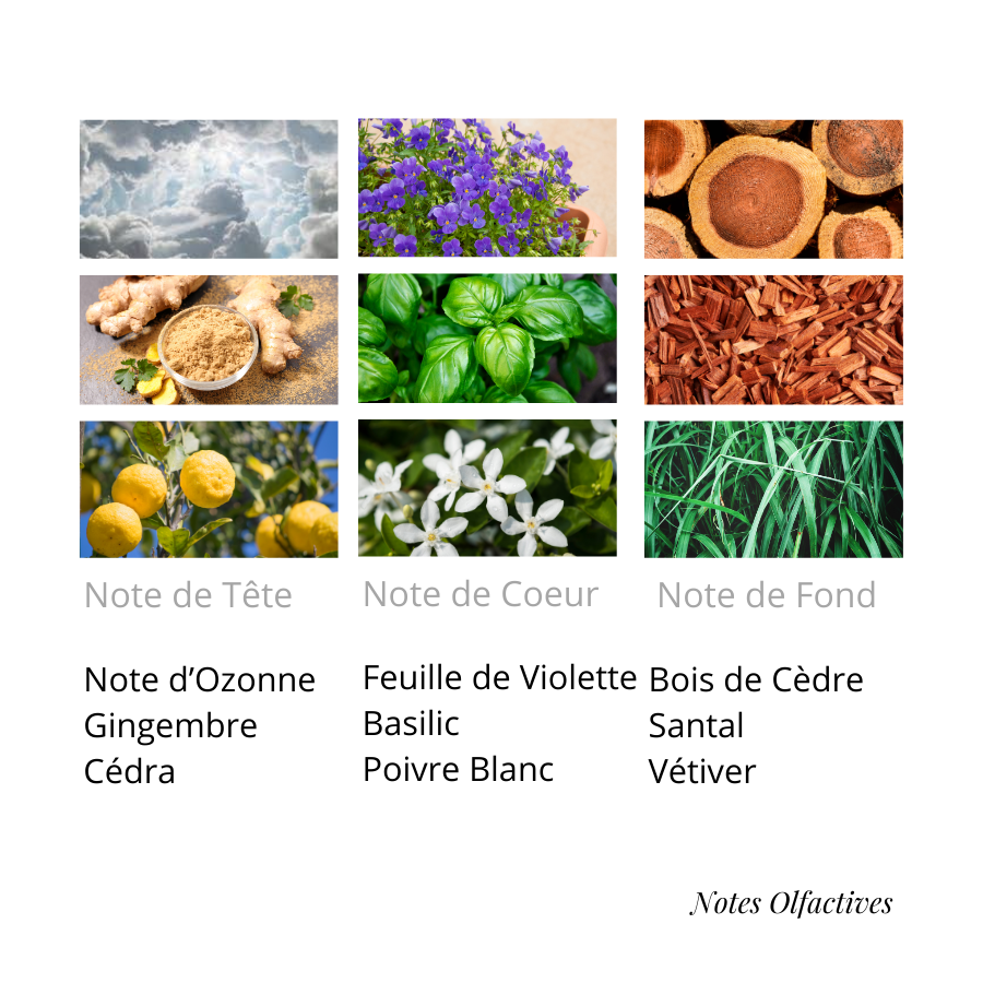 Parfum Mal Equival'anse