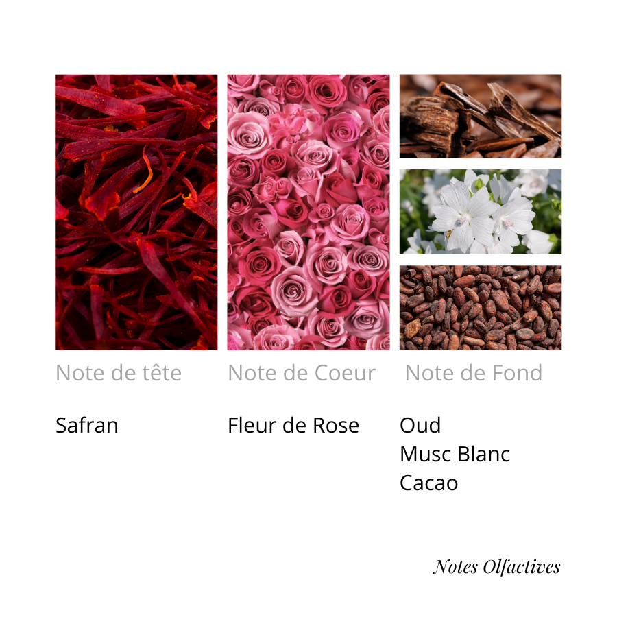 Parfum Kryptonuit Equival'anse