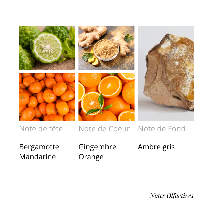 Parfum Aîsha Equival'anse