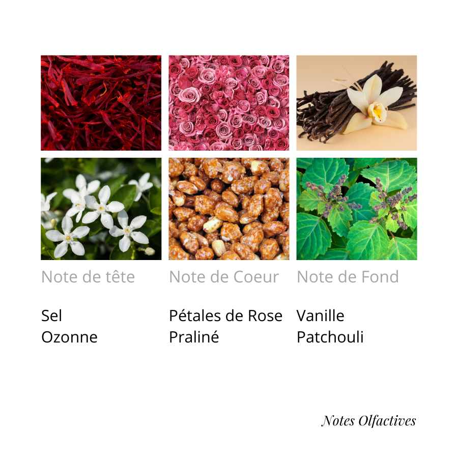 Parfum Bakara Equival'anse