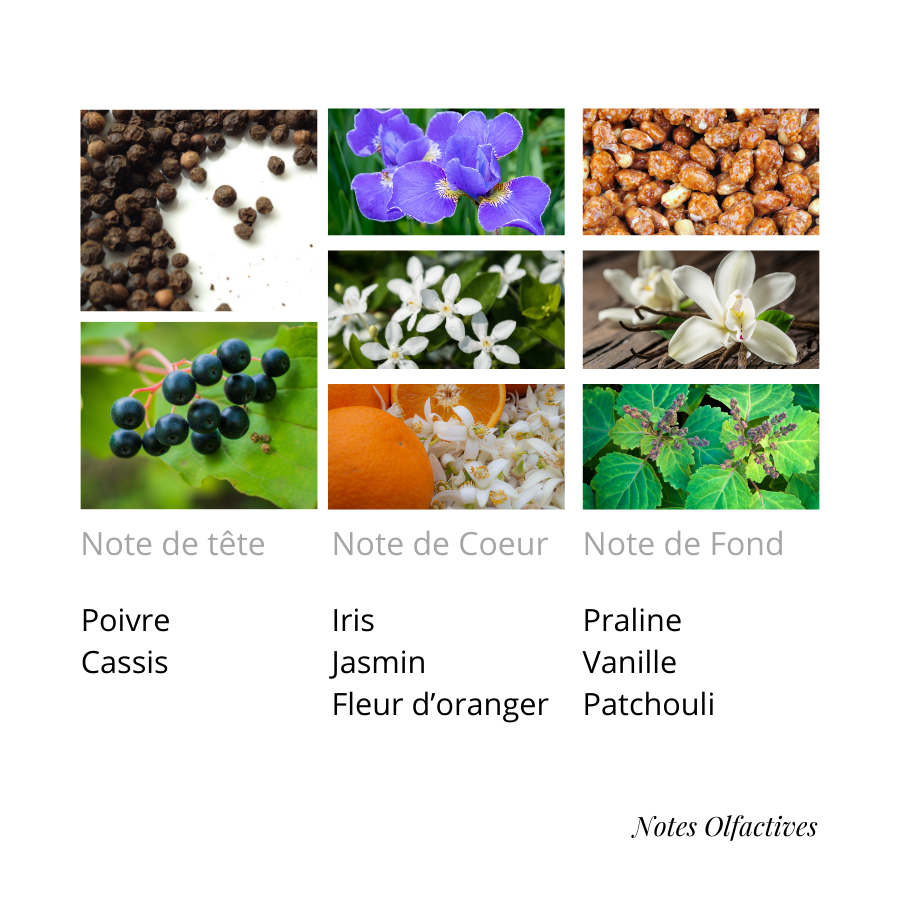 Parfum Bella Equival'anse