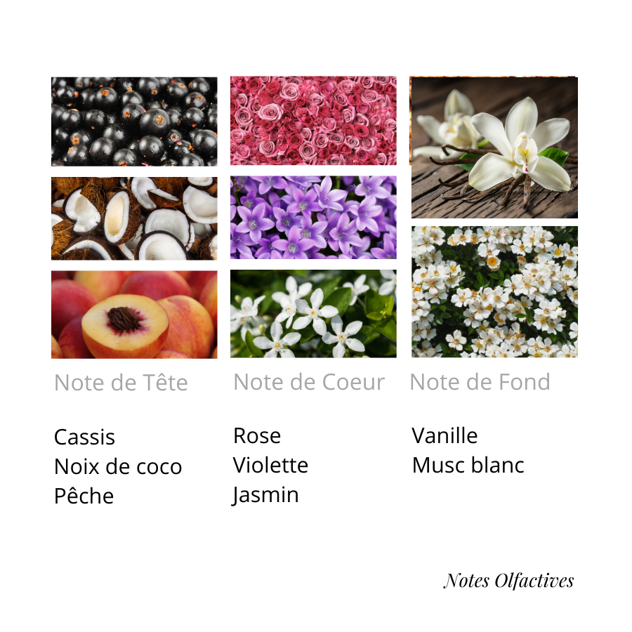 Parfum Black Vanille Equival'anse