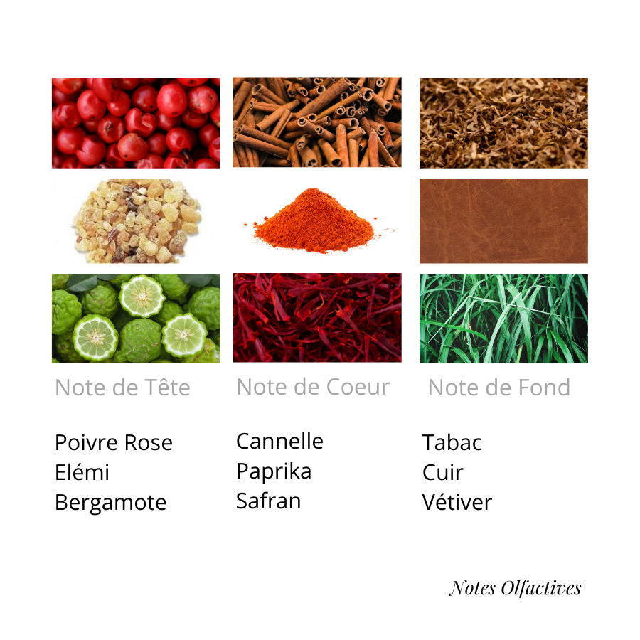 Parfum Bombe Equival'anse