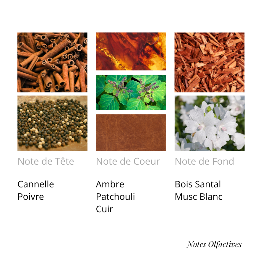 Parfum Chronic Bleu Equival'anse