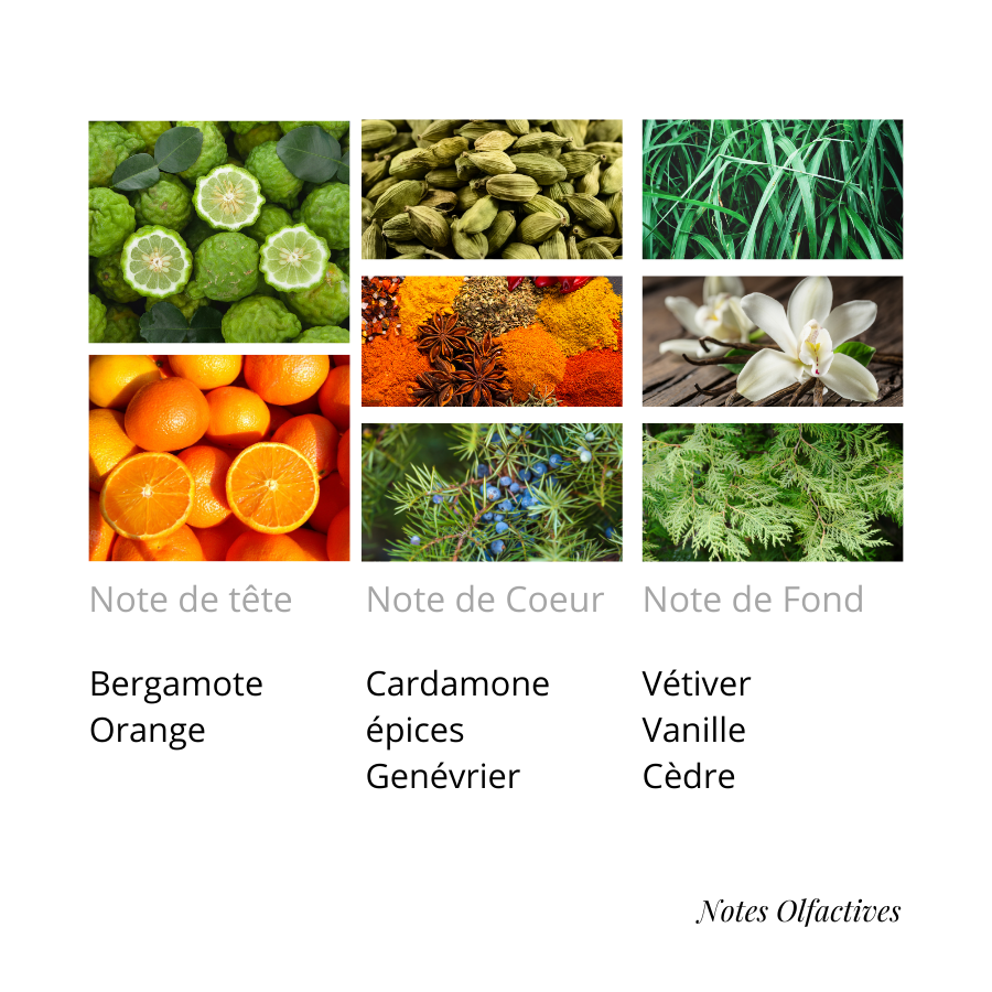 Parfum Déclaration Equival'anse