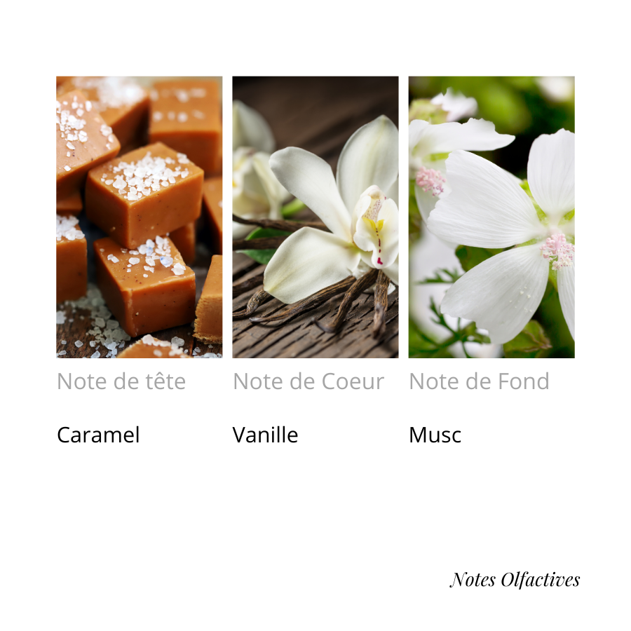 Parfum Délicieuse Equival'anse