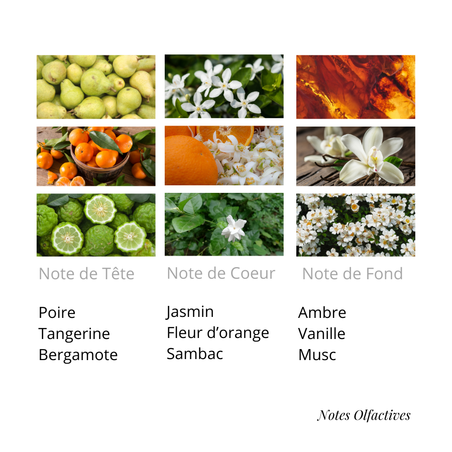 Parfum Doxe Equival'anse