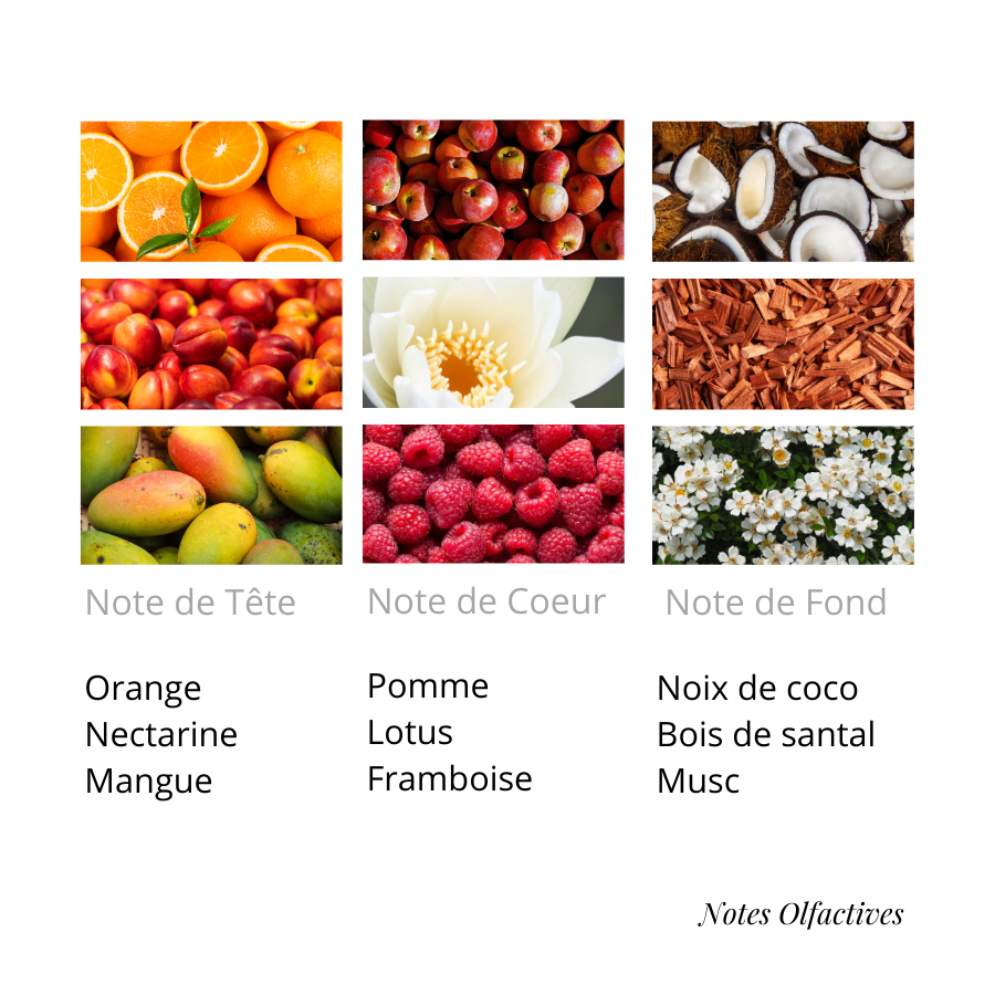 Parfum Escada Equival'anse