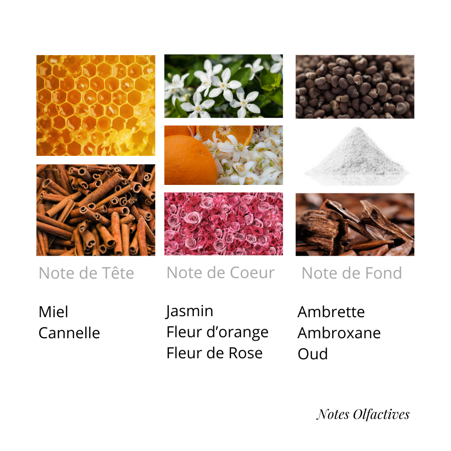 Parfum Fleur déserrtique Equival'anse