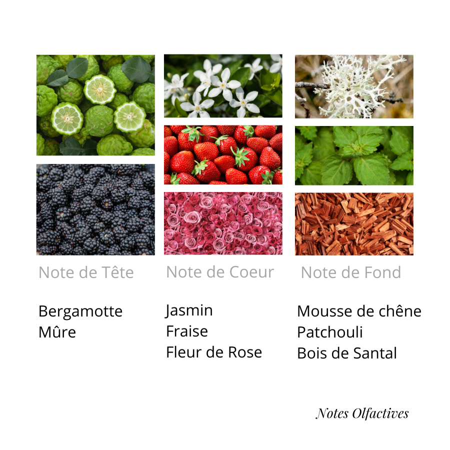 Parfum Gris Equival'anse