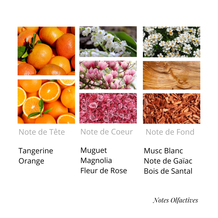 Parfum L'apogée Equival'anse