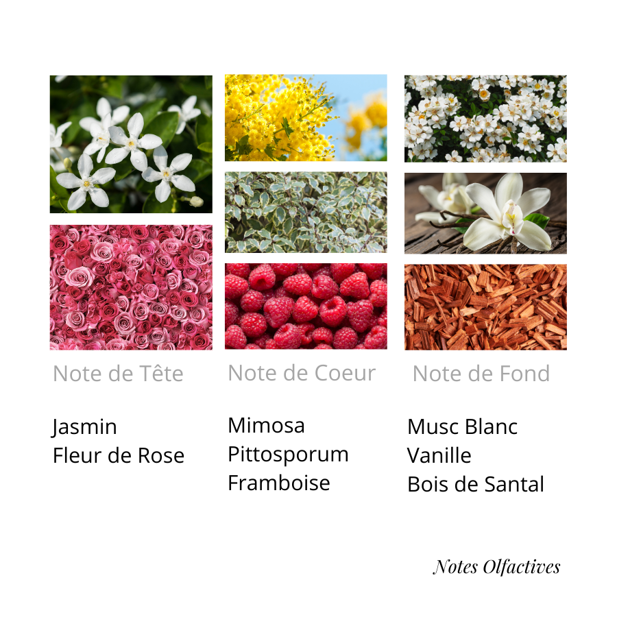 Parfum L'heure d'absence Equival'anse