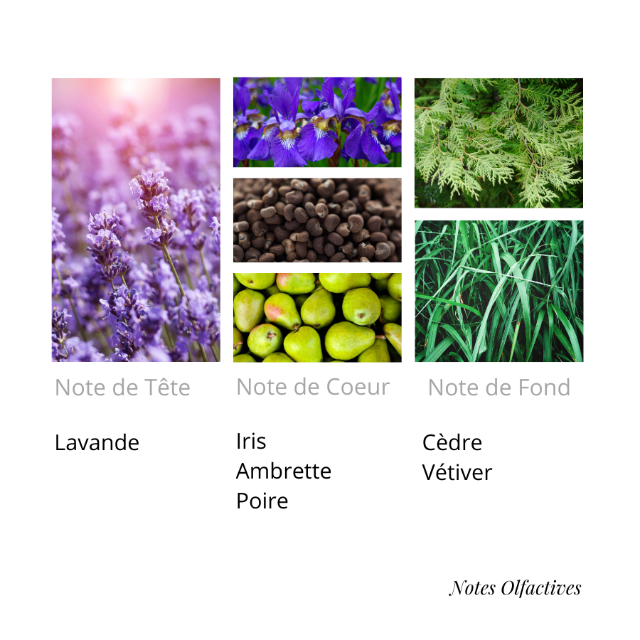 Parfum L'intense Equival'anse