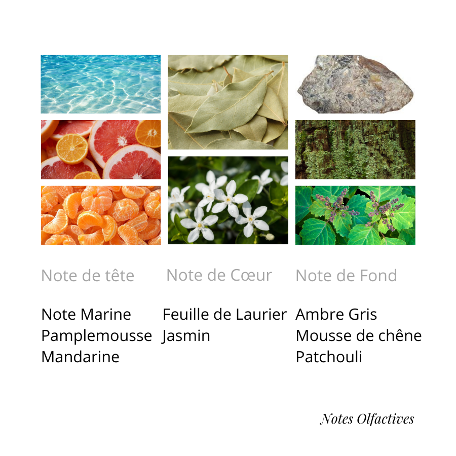 Parfum L'invictus Equival'anse