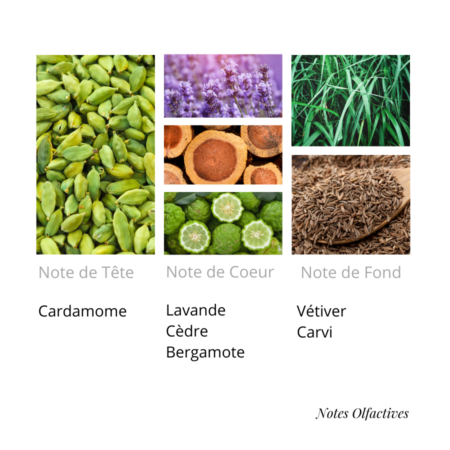 Parfum La nuit Equival'anse