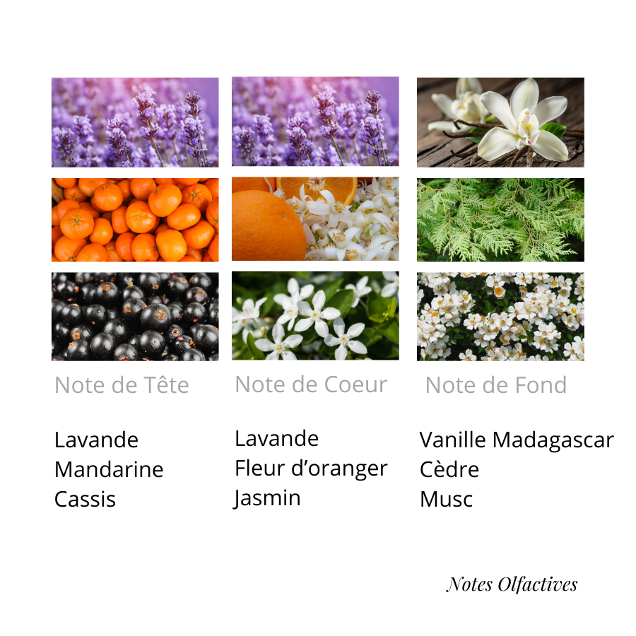 Parfum Liberta Equival'anse