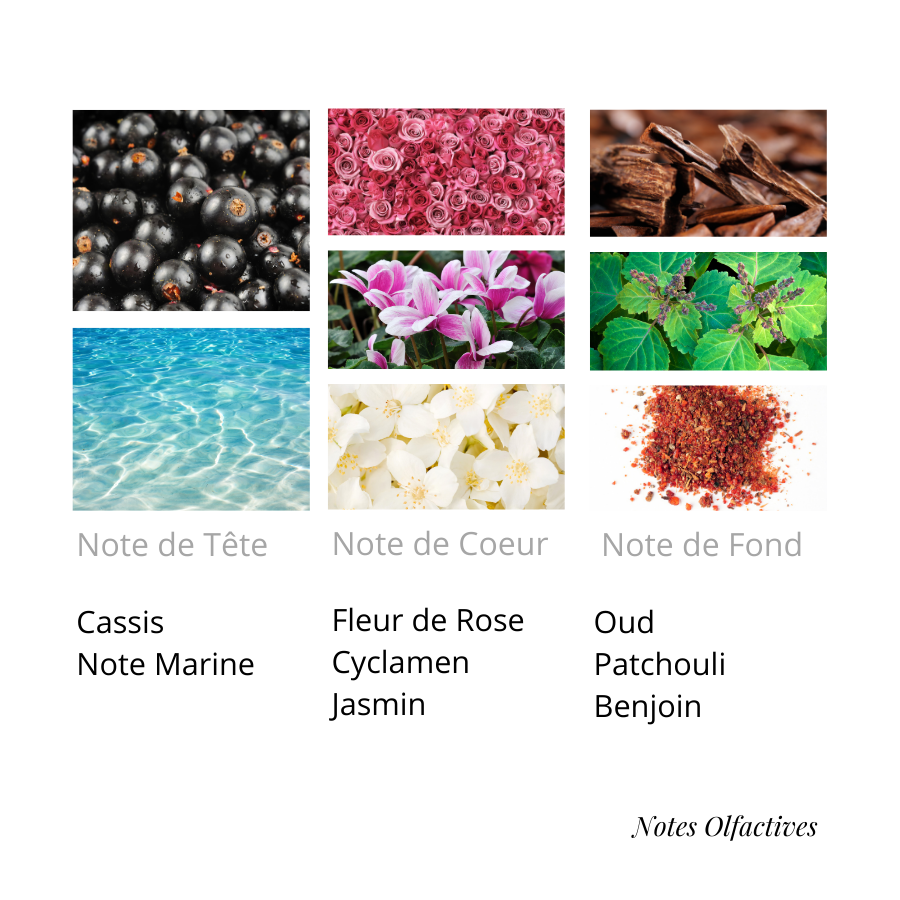 Parfum Matière Equival'anse