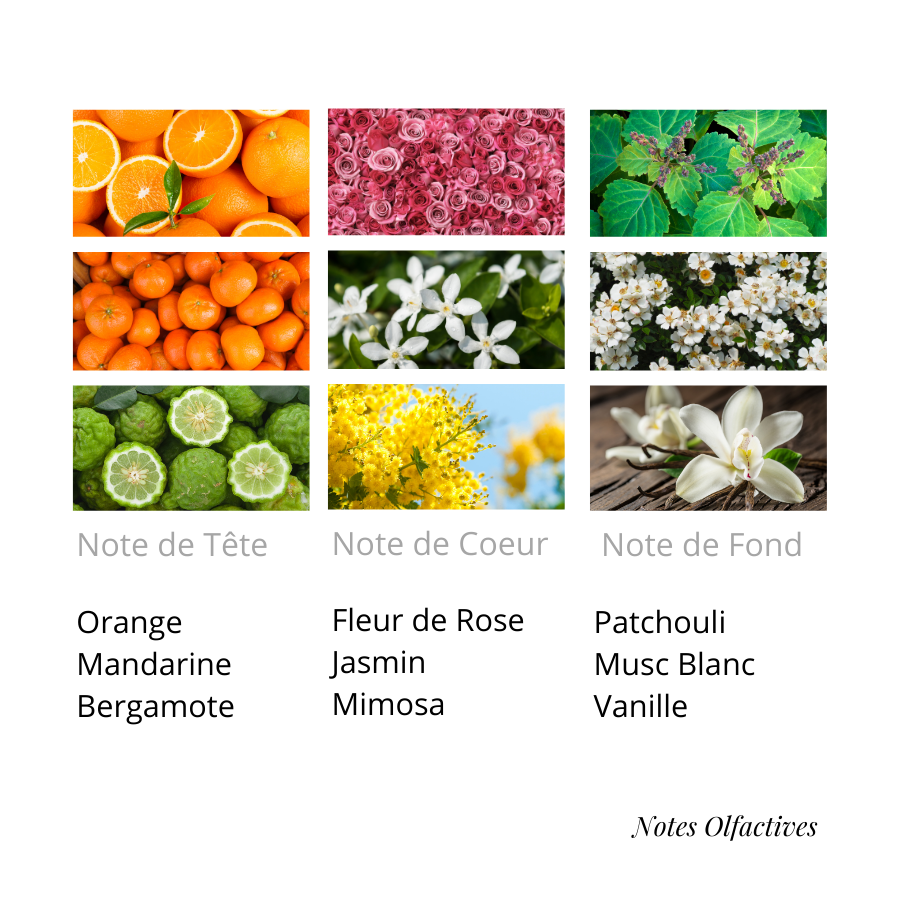 Parfum Melle Equival'anse