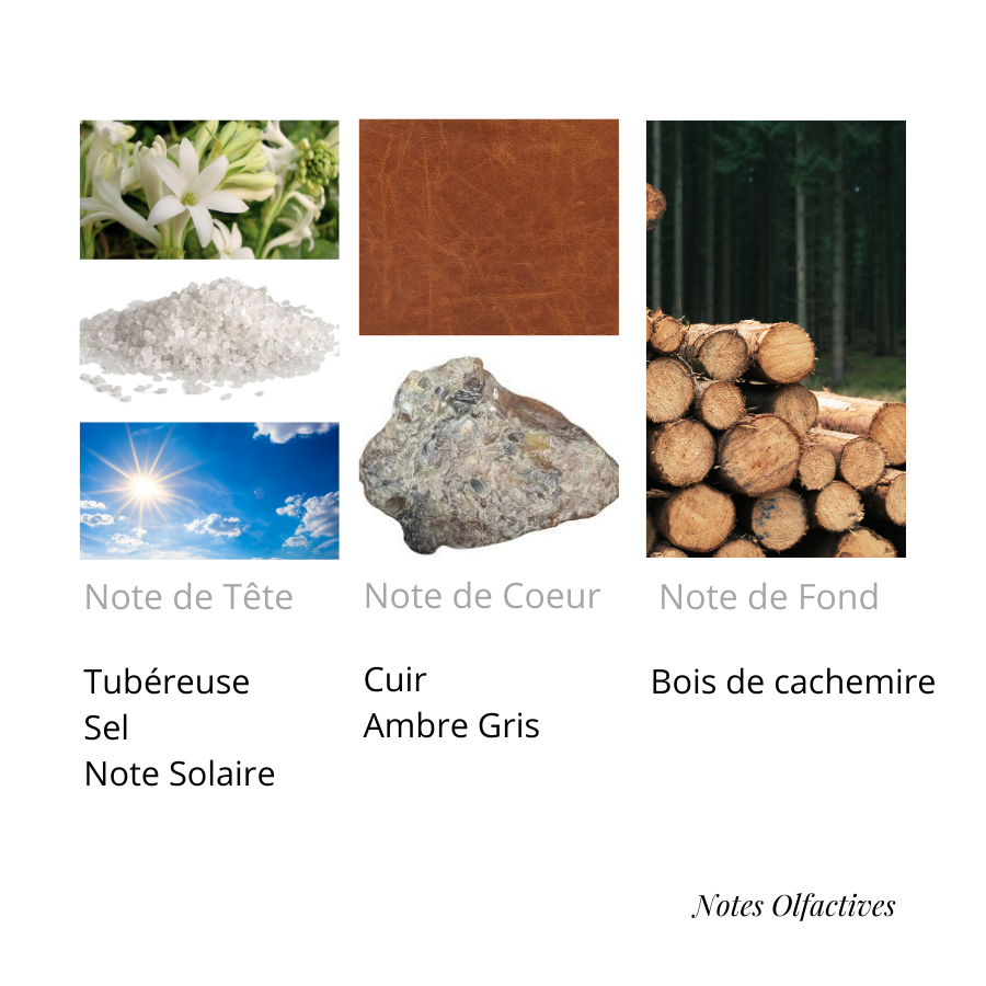 Parfum Million Equival'anse