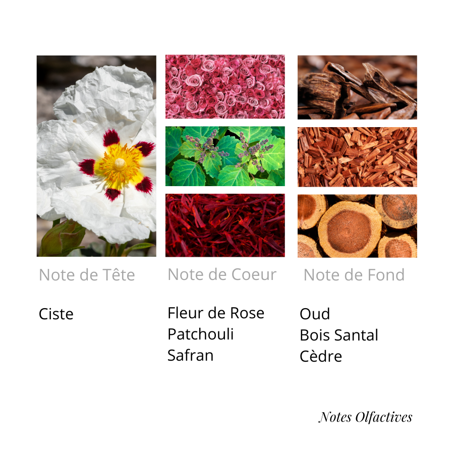 Parfum Oud Equival'anse