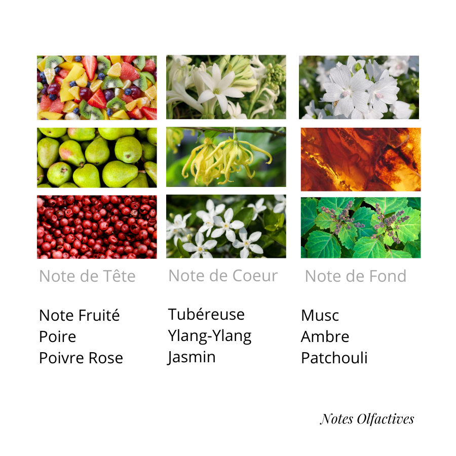 Parfum Suprême Equival'anse