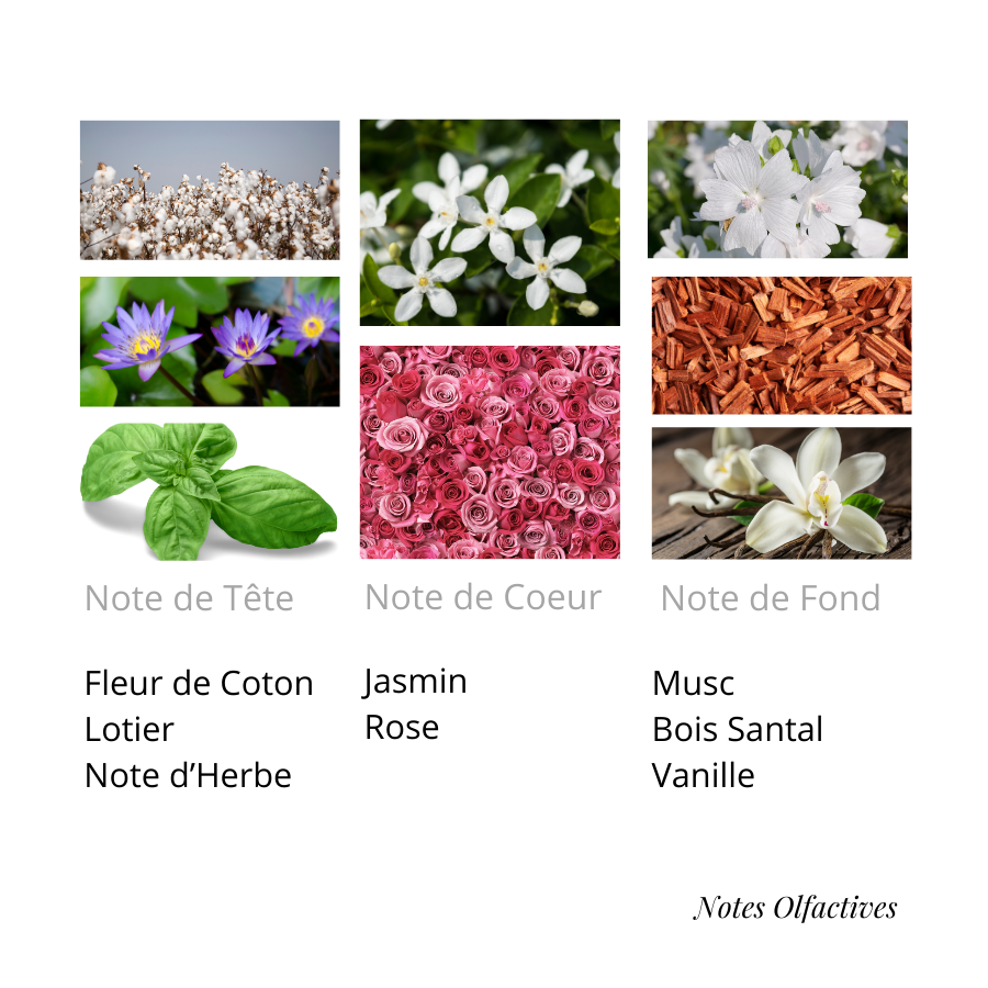 Parfum Tahara Equival'anse