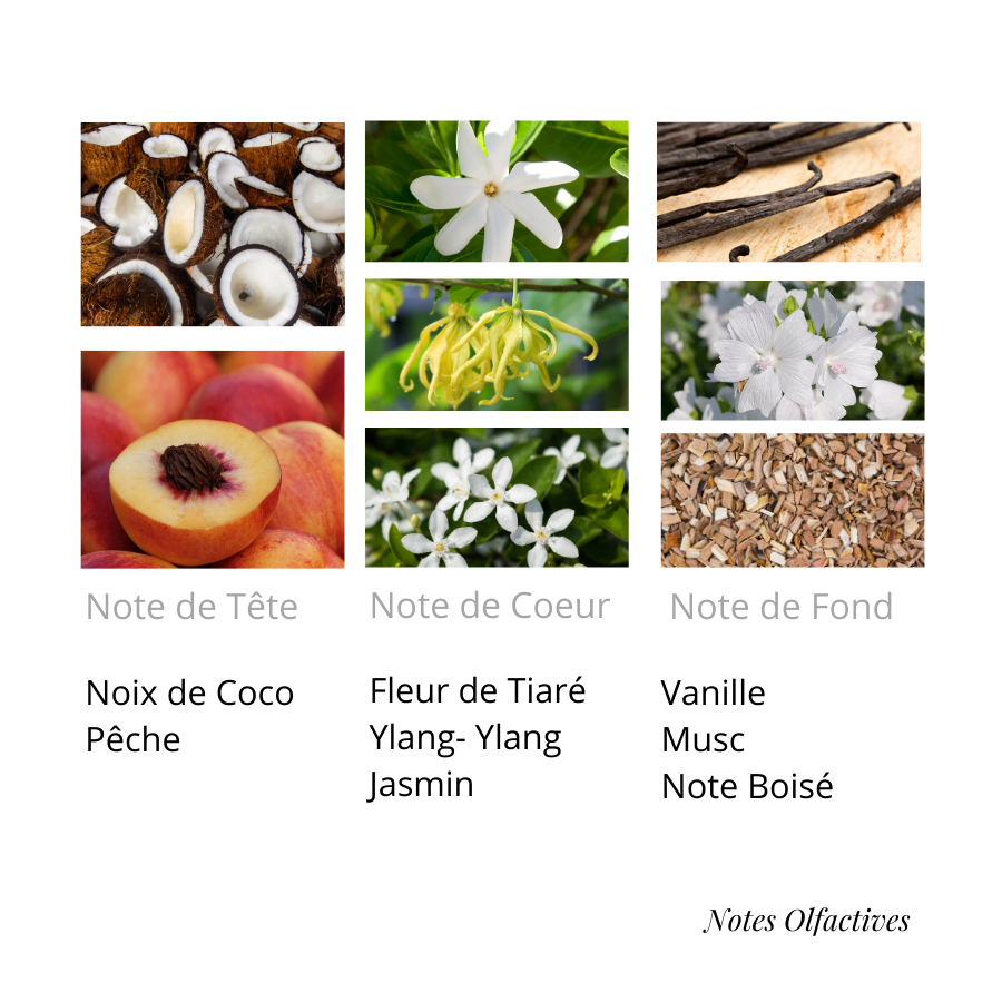 Parfum Vanille Coco Equival'anse