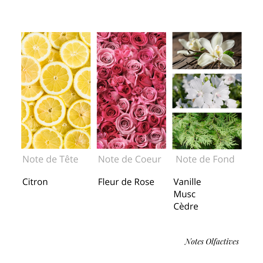 Parfum Vanille Rose Equival'anse