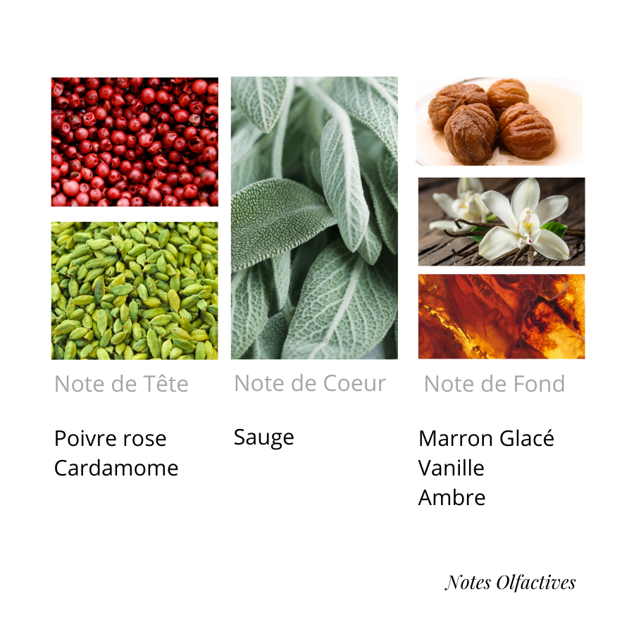 Parfum You Equival'anse